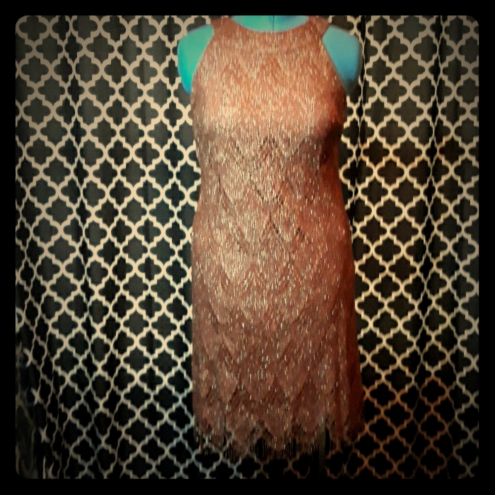 SL Fashions Flapper Party Dress